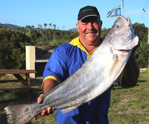 Laaste hengel vir OB Kushengel